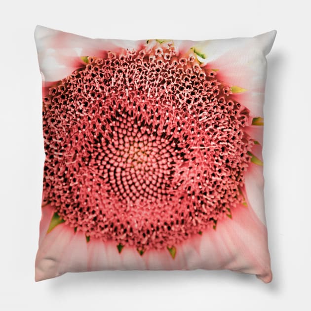 Infra Sunflower Pillow by wavemovies