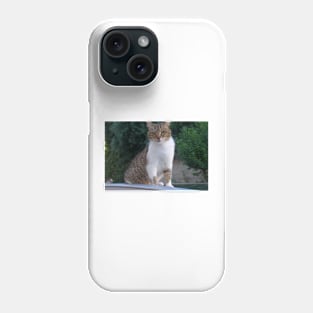 Lucy Queen of the Neighbourhood Cat Portrait Phone Case