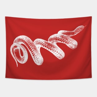 Coiled Snake Wordless Art Vintage Style Graphic Tapestry
