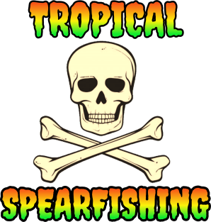 Spearfishing tropical Islands Magnet