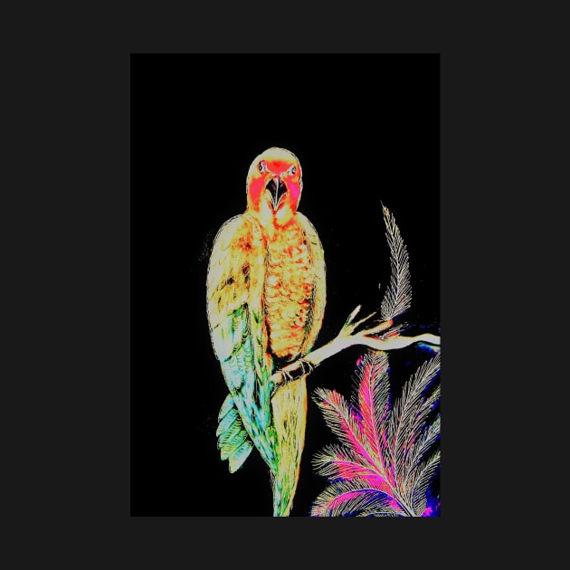 LUSTRE TROPICAL PARAKEET ON BLACK by jacquline8689