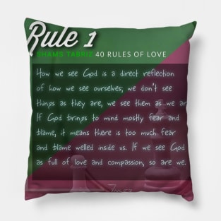 40 RULES OF LOVE - 1 Pillow