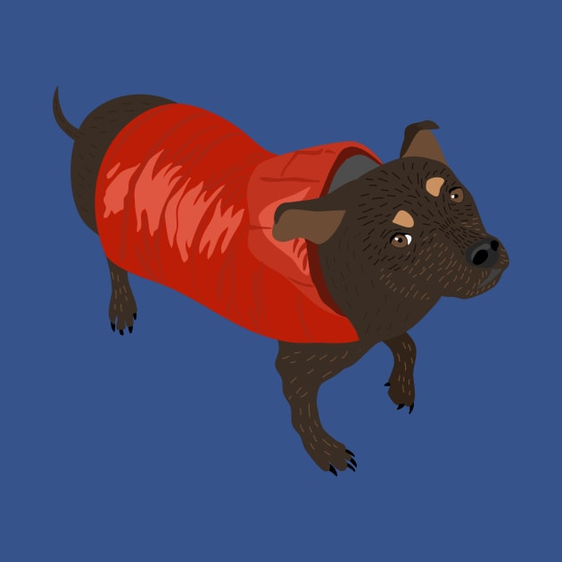 Brown Dog in a Red Puffer Jacket by Alissa Carin