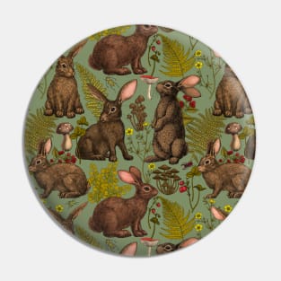 Rabbits and woodland flora Pin