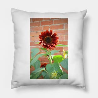 Red Sunflower Pillow