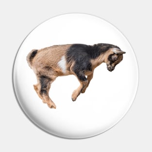 Bouncing Baby Goat 6 Pin