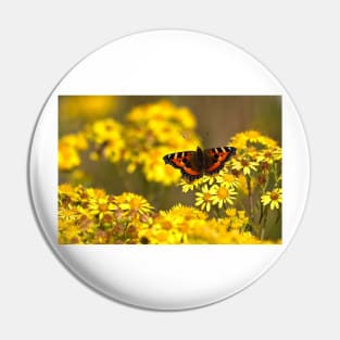 Tortoiseshell butterfly spreading its wings Pin