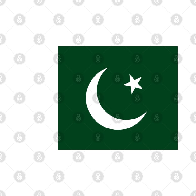 Pakistan Flag by Historia