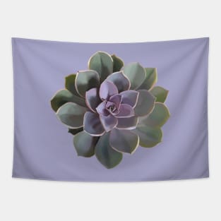 Echeveria // Perle Von Nurnberg V1 Tapestry