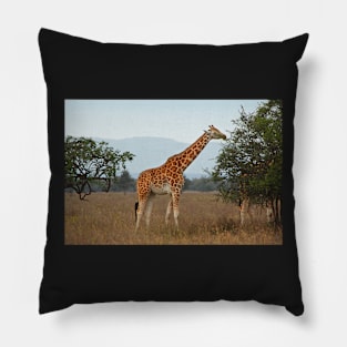 Rothschild's Giraffe, Lake Nakuru, Kenya Pillow