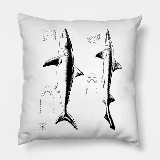 Great White Shark & Mako | Ocean Sea Animal Science Pillow by encycloart