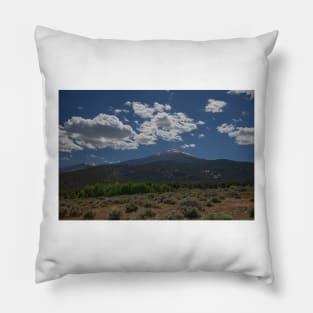 850_6861 Pillow