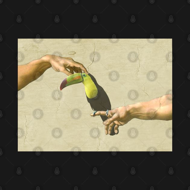 scritching a keel-billed toucan #full by FandomizedRose