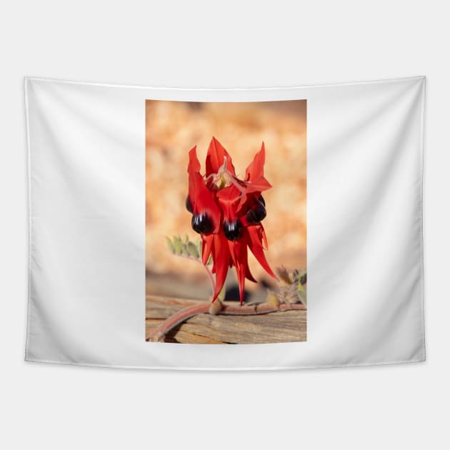 Sturt's Desert Pea, Australian Wildflower Tapestry by AndrewGoodall