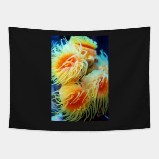 Sea Anemone Tapestry