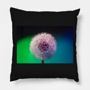 Dandelion head blue green background Pillow