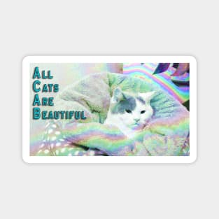 All Cats Are Beautiful Magnet