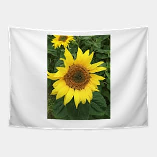 Sunflower photograph Tapestry