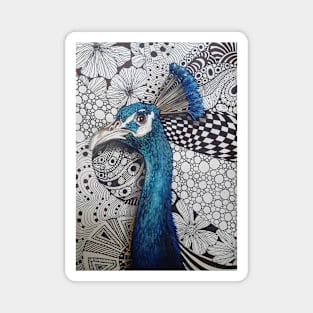 Peacock Portrait Magnet