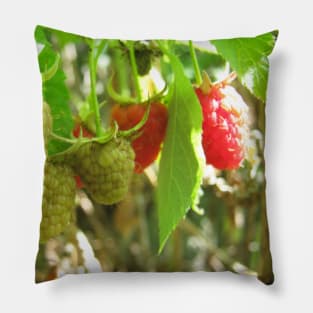 Raspberries Pillow