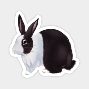 Cute Chubby Black and White Dutch Rabbit Magnet