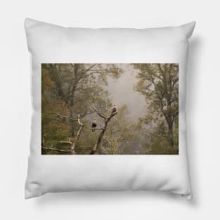 klb cara cara in tree Pillow