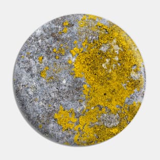 Vivid Yellow Mold Growth Pin