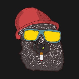 smoking raccoon T-Shirt
