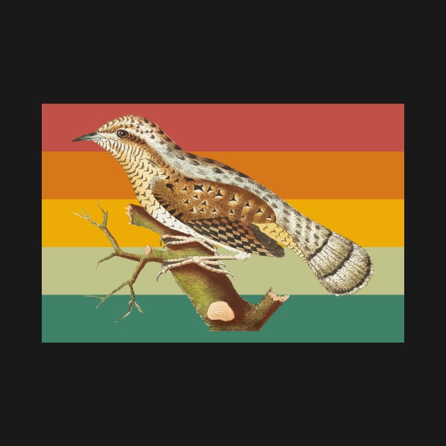 Vintage Animal Retro Wryneck 01 by rosenbaumquinton52