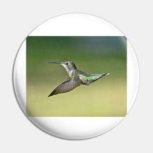 Ruby Throated Hummingbird Female Pin