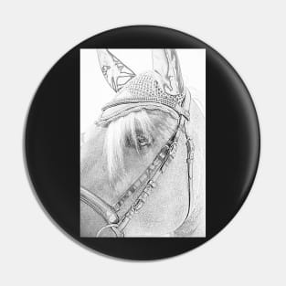 Haflinger as a pencil drawing Pin