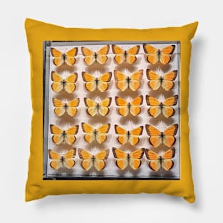 You Give Me Butterflies Pillow