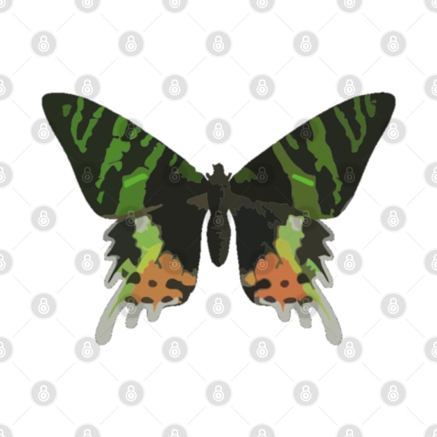 Madagascan Sunset Moth Digital Painting by gktb