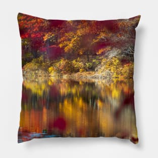 Autumn Colors Pillow