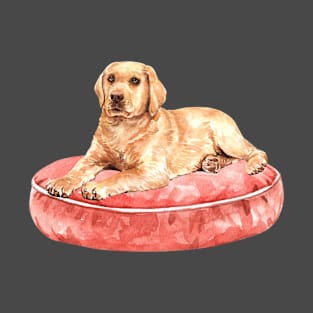 Cute Labrador Dog and His Red Bed T-Shirt