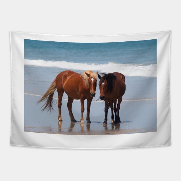 Beach Dreams Tapestry by Jacquelie