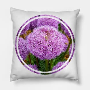 Purple Allium Onion Flowers Nature Circle Pillow