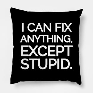 I can fix anything, except stupid. Pillow