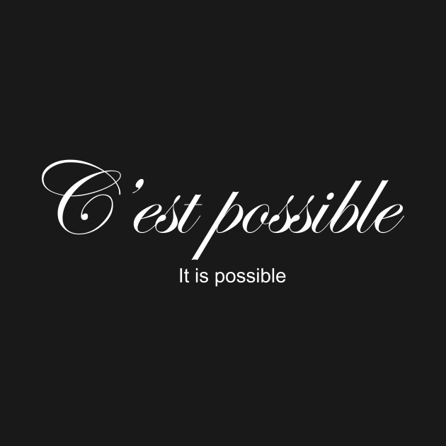 C'est possible: IT'S POSSIBLE by King Chris