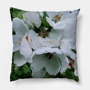 Rainy Day Apple Tree Pillow