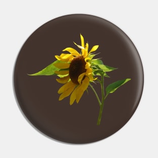 Backlit Sunflower Pin