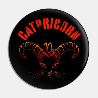 Capricorn The Sea Goat With A Twist Pin