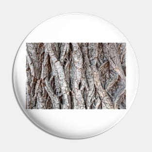 Tree bark background Pin