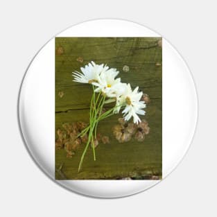 A Bunch of Daisies by Avril Thomas Pin