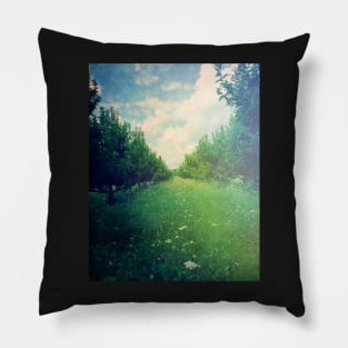 Apple Orchard in Spring Pillow
