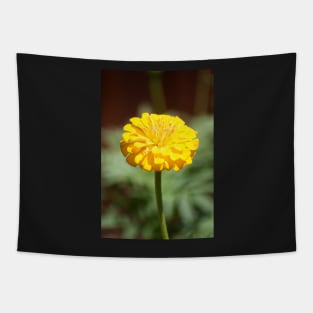 Zinnia Tapestry