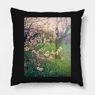 Apple Blossom Time in Leelanau Pillow