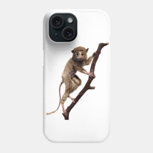 Funny Taxidermy Stuffed Animal Lemur Primate Phone Case