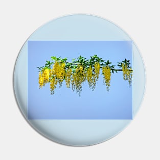 Laburnum Branch Pin