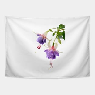 Fuchsia 'Prince George' Tapestry